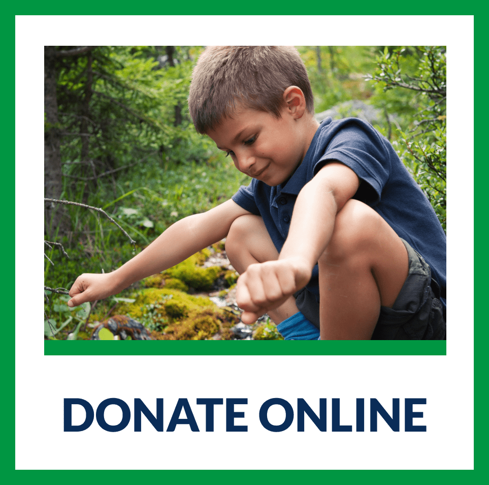 Donate to Deer Creek Overlook — boy exploring nature by a creek